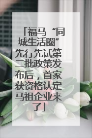 福马“同城生活圈”先行先试第二批政策发布后，首家获资格认定马祖企业来了