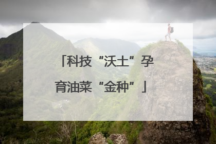 科技“沃土”孕育油菜“金种”