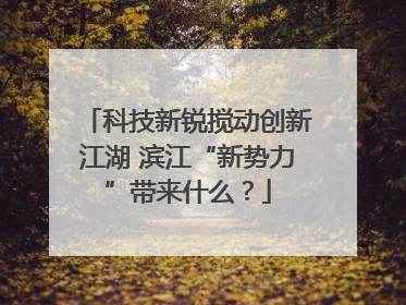 科技新锐搅动创新江湖 滨江“新势力”带来什么？