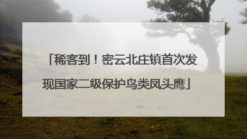 稀客到！密云北庄镇首次发现国家二级保护鸟类凤头鹰