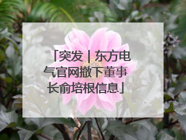 突发｜东方电气官网撤下董事长俞培根信息