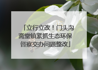 立行立改！门头沟斋堂镇紧抓生态环保督察交办问题整改