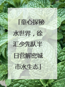 童心探秘水世界，徐汇少先队半日营解密城市水生态