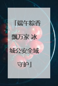 端午粽香飘万家 冰城公安全域守护