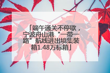 端午通关不停歇，宁波舟山港“一带一路”航线进出境集装箱1.48万标箱