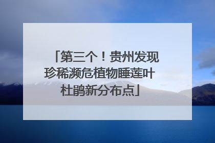 第三个！贵州发现珍稀濒危植物睡莲叶杜鹃新分布点