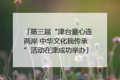 第三届“津台童心连两岸 中华文化我传承”活动在津成功举办