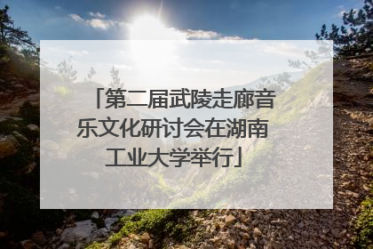 第二届武陵走廊音乐文化研讨会在湖南工业大学举行
