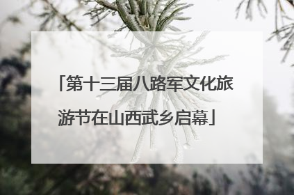 第十三届八路军文化旅游节在山西武乡启幕