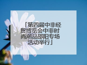第四届中非经贸博览会中非时尚潮品邵阳专场活动举行