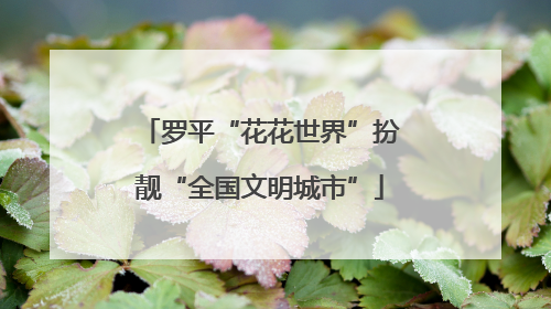 罗平“花花世界”扮靓“全国文明城市”