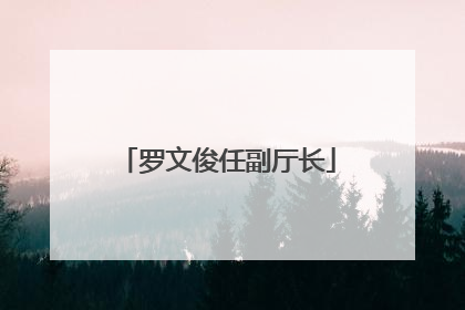 罗文俊任副厅长