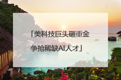美科技巨头砸重金争抢稀缺AI人才