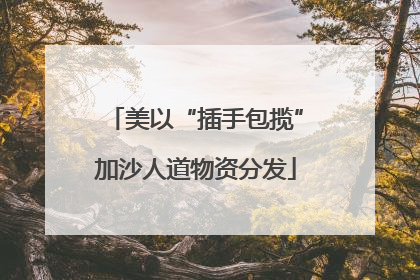 美以“插手包揽”加沙人道物资分发