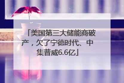 美国第三大储能商破产，欠了宁德时代、中集普威6.6亿