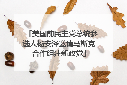 美国前民主党总统参选人杨安泽邀请马斯克合作组建新政党