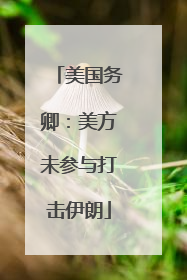 美国务卿：美方未参与打击伊朗