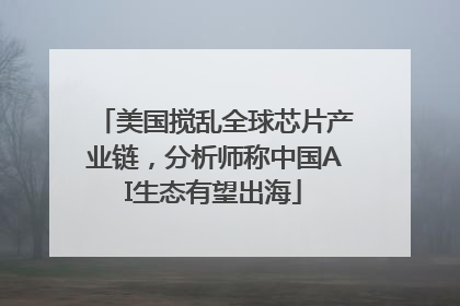 美国搅乱全球芯片产业链，分析师称中国AI生态有望出海