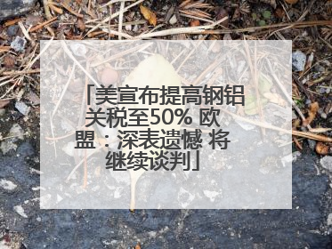美宣布提高钢铝关税至50% 欧盟：深表遗憾 将继续谈判