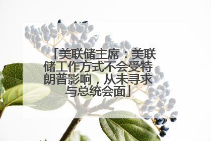 美联储主席：美联储工作方式不会受特朗普影响，从未寻求与总统会面