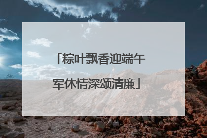 粽叶飘香迎端午 军休情深颂清廉