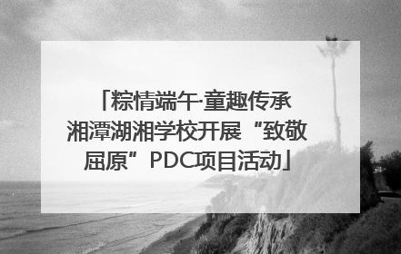 粽情端午·童趣传承 湘潭湖湘学校开展“致敬屈原”PDC项目活动