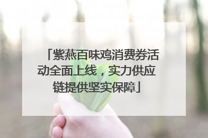 紫燕百味鸡消费券活动全面上线，实力供应链提供坚实保障