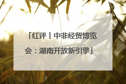 红评丨中非经贸博览会：湖南开放新引擎