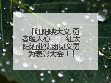 红阳映大义 勇者暖人心——红太阳酒业集团见义勇为表彰大会！