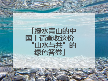 绿水青山的中国丨请查收这份“山水与共”的绿色答卷