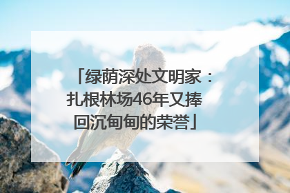 绿荫深处文明家：扎根林场46年又捧回沉甸甸的荣誉