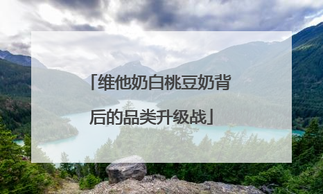 维他奶白桃豆奶背后的品类升级战