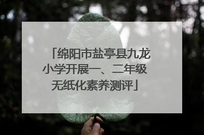 绵阳市盐亭县九龙小学开展一、二年级无纸化素养测评