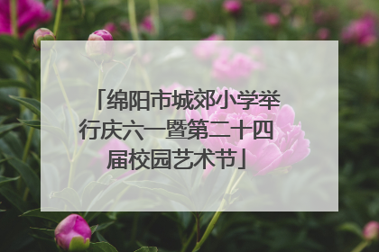 绵阳市城郊小学举行庆六一暨第二十四届校园艺术节