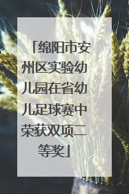绵阳市安州区实验幼儿园在省幼儿足球赛中荣获双项二等奖