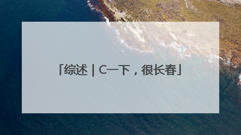 综述｜C一下，很长春