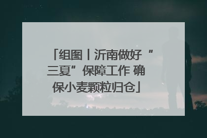 组图丨沂南做好“三夏”保障工作 确保小麦颗粒归仓