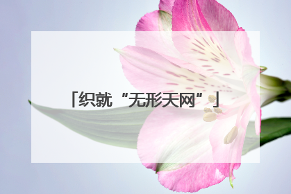 织就“无形天网”