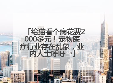 给猫看个病花费2000多元！宠物医疗行业存在乱象，业内人士呼吁→