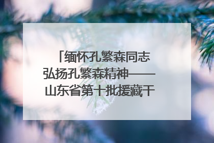 缅怀孔繁森同志 弘扬孔繁森精神——山东省第十批援藏干部人才清明节前到岗巴县开展党性教育