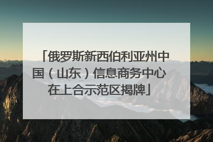 俄罗斯新西伯利亚州中国（山东）信息商务中心在上合示范区揭牌