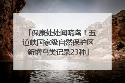 保康处处闻啼鸟！五道峡国家级自然保护区新增鸟类记录23种