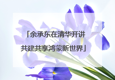 余承东在清华开讲 共建共享鸿蒙新世界