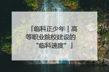 临科正少年｜高等职业院校建设的“临科速度”