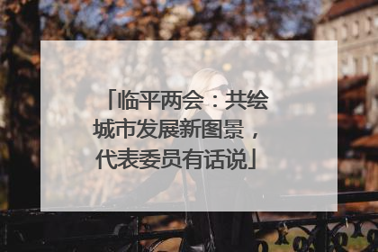 临平两会：共绘城市发展新图景，代表委员有话说
