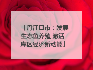 丹江口市：发展生态鱼养殖 激活库区经济新动能