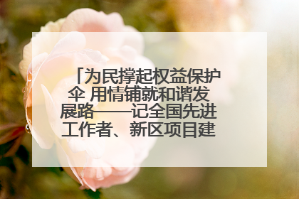 为民撑起权益保护伞 用情铺就和谐发展路——记全国先进工作者、新区项目建设中心干部卢小勇
