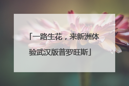 一路生花，来新洲体验武汉版普罗旺斯