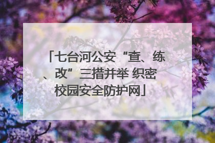 七台河公安“查、练、改”三措并举 织密校园安全防护网