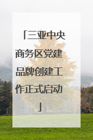 三亚中央商务区党建品牌创建工作正式启动